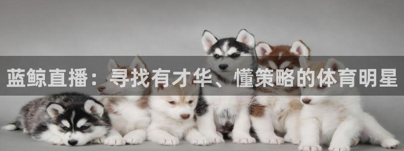 88看球网nba在线直播观看：蓝鲸直播：寻找有才华、懂策略的体育明星