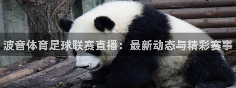 88看球:足球直播_nba线上看_免费体育直播：波音体育足球联赛直播：最新动态与精彩赛事