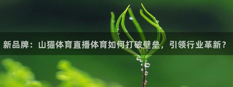 88看球直播足球比赛：新品牌：山猫体育直播体育如何打破壁垒，引领行业革新？