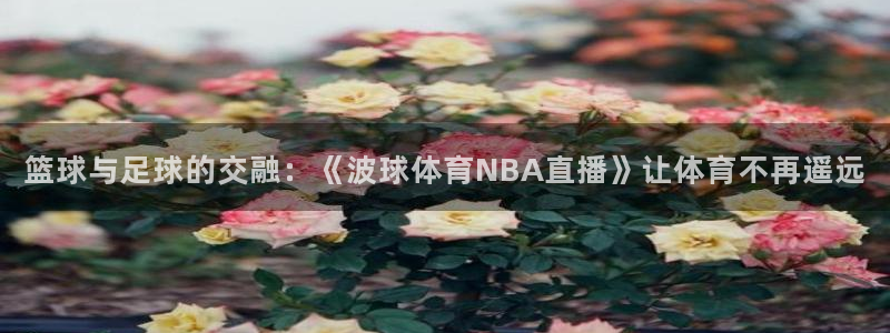 88看球nba直播高清：篮球与足球的交融：《波球体育NBA直播》让体育不再遥远