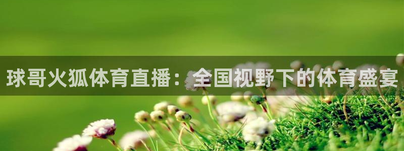 88看球直播官网nba：球哥火狐体育直播：全国视野下的体育盛宴