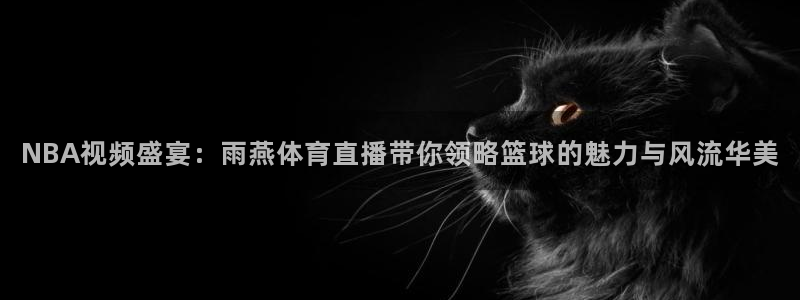 88看球直播吧：NBA视频盛宴：雨燕体育直播带你领略篮球的魅力与风流华美