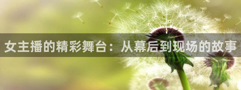 88看球网nba在线直播观看：女主播的精彩舞台：从幕后到现场的故事