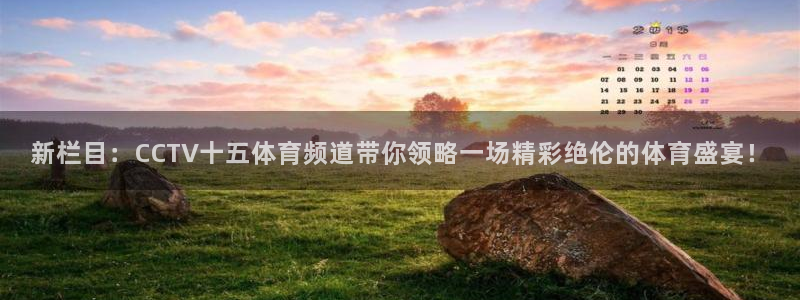 nba88看球在线直播：新栏目：CCTV十五体育频道带你领略一场精彩绝伦的体育盛宴！