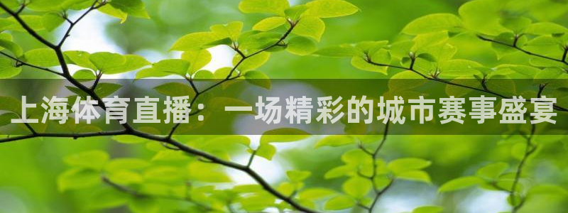 188看球直播官网入口：上海体育直播：一场精彩的城市赛事盛宴