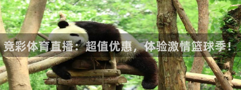 88看球直播nba：竞彩体育直播：超值优惠，体验激情篮球季！