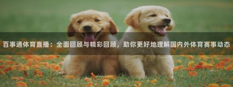 88看球直播nba免费：百事通体育直播：全面回顾与精彩回顾，助你更好地理解国内外体育赛事动态